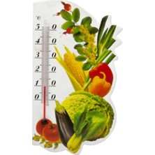 Esranın Dünyası Mıknatıslı Mutfak Termometresi RSKRG34-ESRDNS