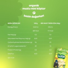 GRAYLINE Line Humm Organik Muzlu Glutensiz Vegan Mini Küpler 30 gr Güvenli