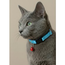 Ben Evcilim Mavi Kedi Boyun Tasması Zilli (18-32cm) - Beden: Standart Ayarlanabilir, Renk: Mavi