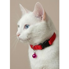 Ben Evcilim Kırmızı Kedi Boyun Tasması Zilli (18-32cm) - Beden: Standart Ayarlanabilir, Renk: Kırmızı