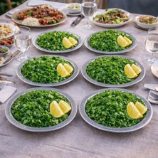 Dmt Copper Home 20 cm Servis Sunum Tepsisi 6 Adet 430 Kalite Krom Çelik – Fırına Uygun, Kararma Yapmaz, Meze Kebap Kahve Sunumluk