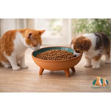 Ayaklı Sırlı Çömlek Kedi & Köpek Maması Kabı 20 cm