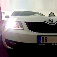 Özgürce Yüksek Performanslı Xenon Ampul D3S 4300K, 2013-2015 Uyumu