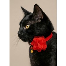 Ben Evcilim Kırmızı Çiçekli Kedi Tasması Zilli (18-32cm)