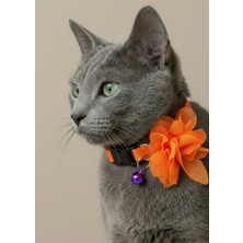 Ben Evcilim Turuncu Çiçekli Kedi Tasması Zilli (18-32cm)