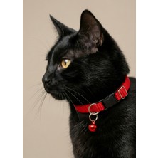 Ben Evcilim Kırmızı Renkli Lastikli Esnek Kedi Tasması Zilli (18-32cm)