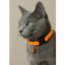 Ben Evcilim Turuncu Renkli Lastikli Esnek Kedi Tasması Zilli (18-32cm)