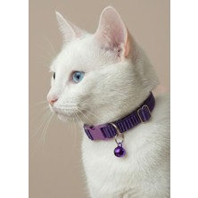 Ben Evcilim Mor Renkli Lastikli Esnek Kedi Tasması Zilli (18-32cm)