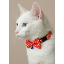 Ben Evcilim Papyonlu Puantiyeli Kırmızı Kedi Tasması Zilli (18-32cm)