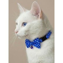 Ben Evcilim Papyonlu Puantiyeli Mavi Kedi Tasması Zilli (18-32cm)