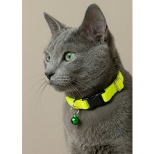 Ben Evcilim Neon Sarı Renkli Lastikli Esnek Kedi Tasması Zilli (18-32cm)