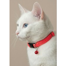 Ben Evcilim Neon Pembe Renkli Lastikli Esnek Kedi Tasması Zilli (18-32cm)