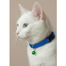 Ben Evcilim Mavi Renkli Lastikli Esnek Kedi Tasması Zilli (18-32cm)