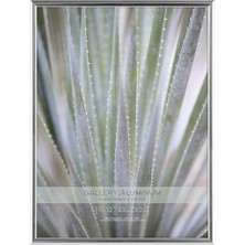 Astera Gümüş Boyalı Alüminyum 23X30 cm Galerie Çerçeve