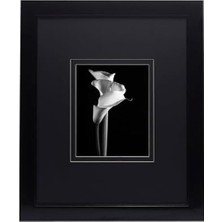 Astera Parlak Siyah 40X50 cm Galeri Çerçevesi