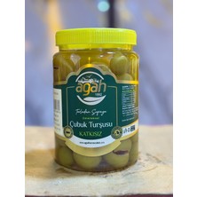 Çubuk Agah Turşuculuk Erik Turşusu 1 kg Pet