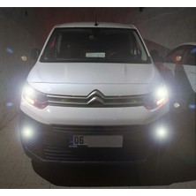 Özgürce Eco Power LED Xenon Sis Far Ampul H8 H11, Parlak ve Dayanıklı Tasarım