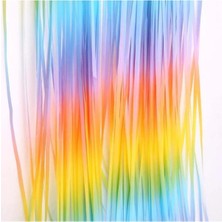 Makaron Gökkuşağı Arka Fon Kapı Perdesi Püskülü 100X200 cm