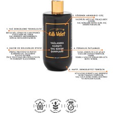 Erkeklere Özel Yağlanma Karşıtı Saçbakım Şampuanı