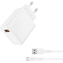 iPad Air 10.9-Inch Uyumlu 33W Hızlı USB Çıkışlı Type-C Kablolu Süper Hızlı Şarj Aleti