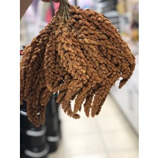 Kızıl Daldarı Tilki Kuyruğu 1 kg