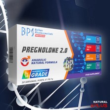  pregnolone 2.0 anabolic natural testosteron formula 141.5 g 30 servis