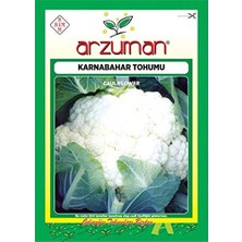 Hepta Collection Arzuman Tohum Karnabahar