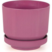 Delixa Plastik Tabaklı Saksı 1 Adet (Fuşya) 6 Lt