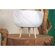 Delixa Bitkitasarımı Ev Dekorasyon Beyaz Üzeri Gold Toprak Terakota Saksı Aranjman Saksısı Bonzai Saksısı 3