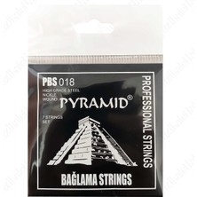 Delixa Saz Musik Shop Bağlama Teli 0.18 Kısa Sap Takım Tel