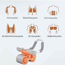 Esranın Dünyası Ab Roller Karın Kası Egzersiz Tekerleği RSFTA34-ESRDNS