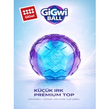 GiGwi Ball Originals Özel Dokulu & Sesli Köpek Oyun Topu - Tekli Paket - Küçük Irk & Yavru
