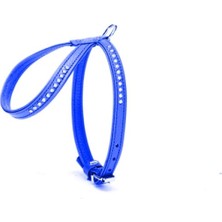 Zemira Taşlı Deri Köpek Göğüs Tasması 1,2 x 29-40 cm
