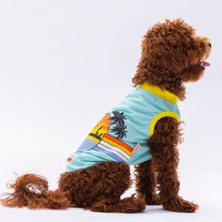 Zemira Mint Tişört Small 23X24X37 cm