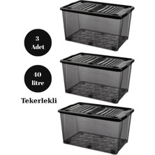 Loremp 40 Litre 3 Adet Saklama Kutusu Düzenleyici