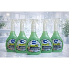 Oxy Masa Sil Masa ve Tezgah Temizleyici 500 ml