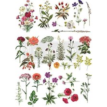 Marketıng Inc Transferfolie, Blumen-Kollektion, 55,9 x 81,3 cm