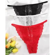 Beruflic Luna Büyük Beden Kadın 3'lü Dantel String - Tanga LN270041-B Iç Giyim