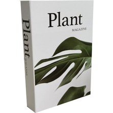 Biseystore 2025-710 Plant