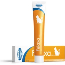 Biyoteknik Felaxa Saf L-Lizin (L-Lysine) Viral Enfeksiyon ve Bağışıklık Güçlendirici Amino Asit