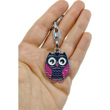 Biuti Renkli Baykuş Anahtarlık / Araba Dikiz Ayna Süsü Metal Hediyelik Aksesuar, Yeni Araba Hediyesi