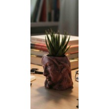 Kaktüs Jack El Yapımı El Boyama Eskitme Stil Dekoratif Yüz Saksı – Canlı Haworthia Bitkili – 15X10 cm – Taş ve Mermer Tozu Karışımı