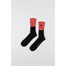 Bad Bear Çorap 24.01.02.016-C01