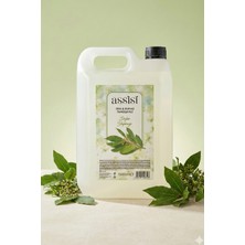 Assisi Oda ve Kumaş Temizleyici Defne Yaprağı 5 Litre