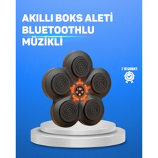 Zero Land Snmswrld Müzikli Boks Duvar Paneli Akıllı Işık Sistemli Refleks ve Kondisyon Aleti