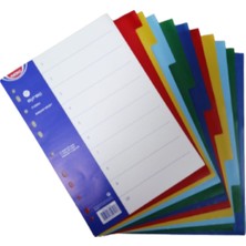 Noki Plastik Seperatör 10 Renkli Ayraç A4 6 Adet Delikli Telli Dosya Renkli