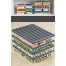 Hepta Collection Orret Home 4 Adet Buzdolabı Organizeri, Buzdolabı Için Çok Amaçlı Saklama Kabı, Fresh Box, Şeffaf ve