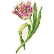 Hester & Cook Parrot Tulip Table Accent - Pack Of 12