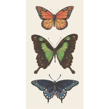 Hester & Cook Butterfly Guest Napkin Pack Of 16