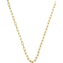 Altın Kaplama Çelik Forsa Zincir Kolye